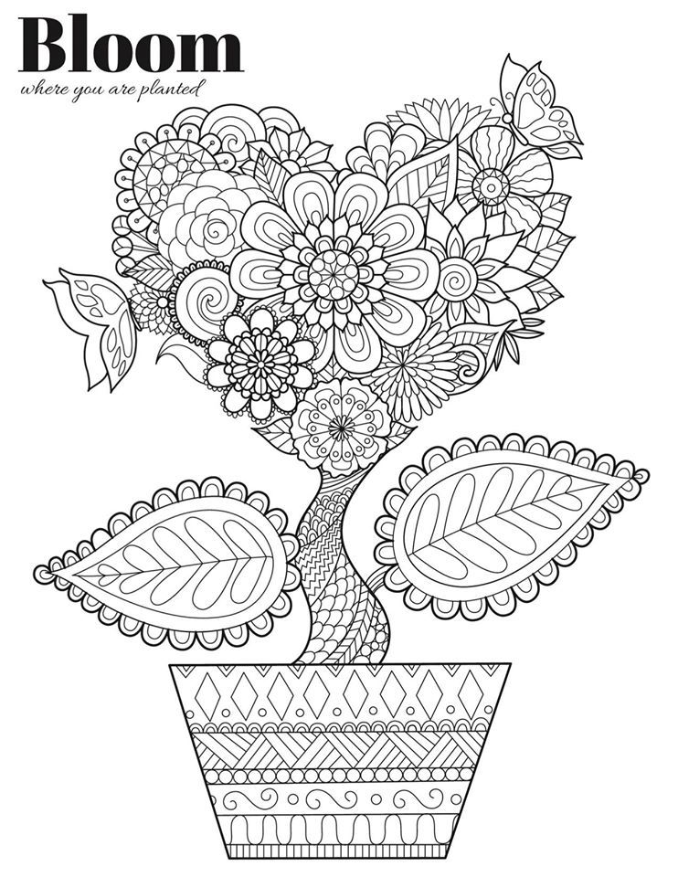 Blooming Heart